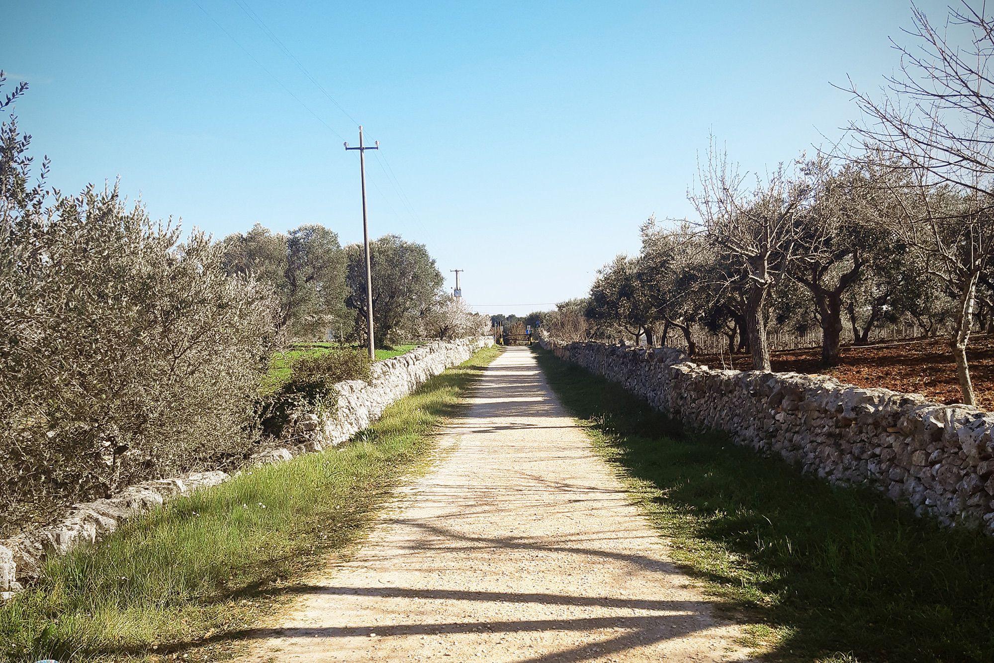 Escursione in bicicletta nell'agro - Sentiero di campagna