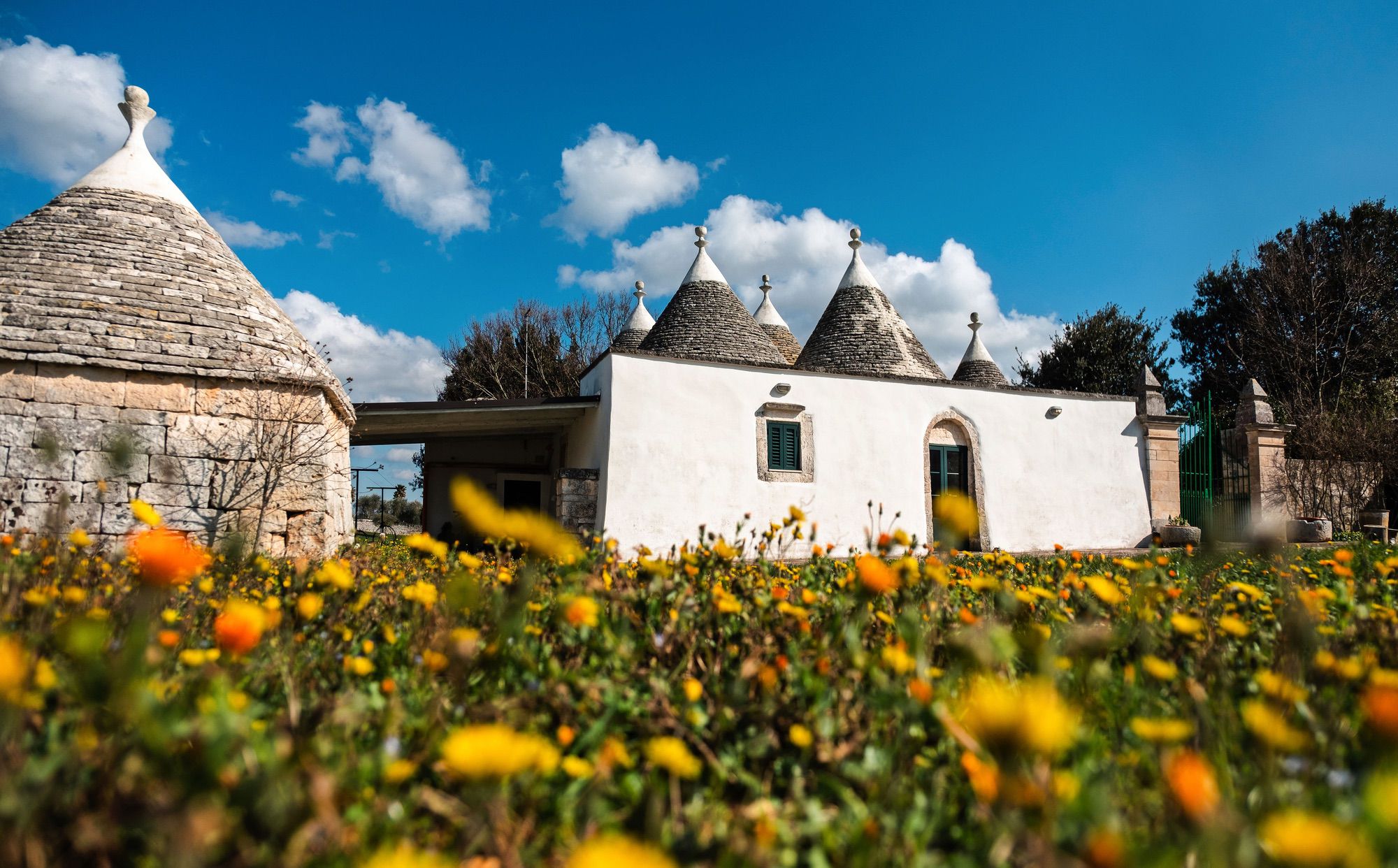 Prospetto trulli Masseria Santalachicca